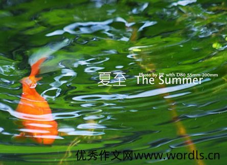 2020最新夏至祝福语