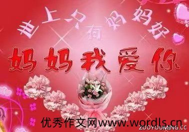 对母亲的爱简短又暖心的祝福语