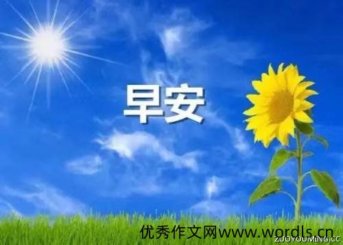 早上好的问候祝福语送给大家