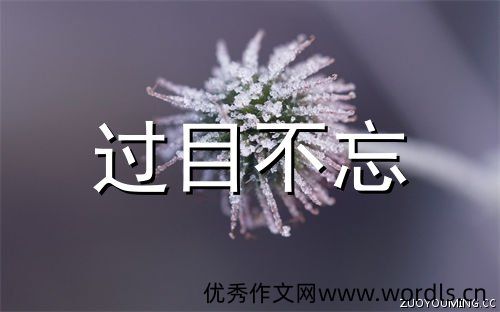 让人过目不忘的网名独特个性昵称大全(精选200个)