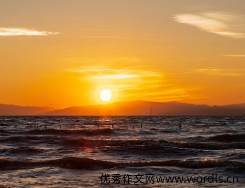 关于夕阳的唯美签名简短 浪漫的夕阳签名大全