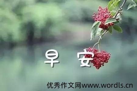 早上好的微信个性签名