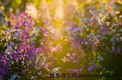 繁体字探探幸福个性签名