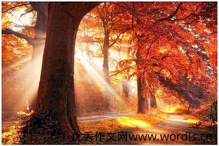老人手牵手的感动说说