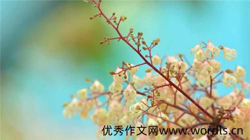 亏欠父母太多经典说说 亏欠父母的说说伤感