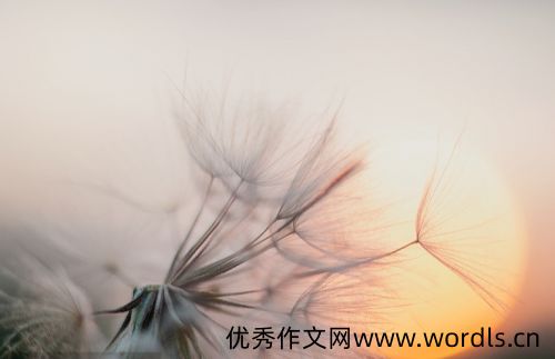 简单快乐的心态句子发朋友圈 快乐心态的励志句子
