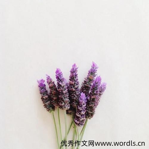 形容父母无私奉献的句子 感恩父母的话发朋友圈
