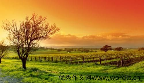 2021爱家爱生活的句子 精选爱家的优美句子