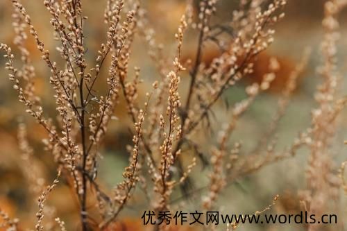 心里不舒服想发表一下 心情不好的短句发朋友圈
