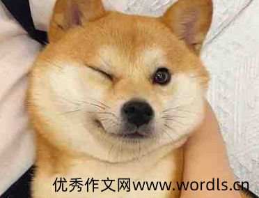 老公陪伴好幸福的说说 有老公陪伴的开心语录