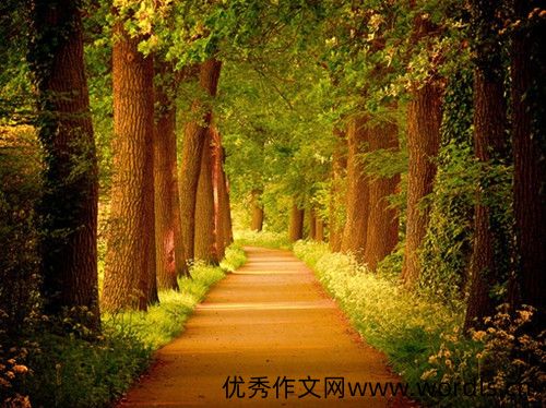女人只能靠自己的说说