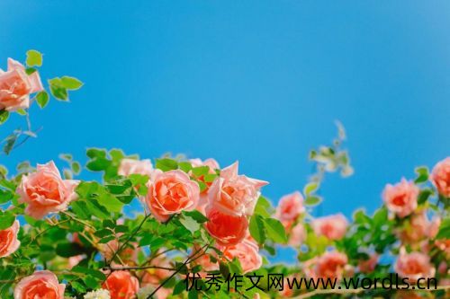 微信朋友圈经典短句 微信朋友圈精辟短句