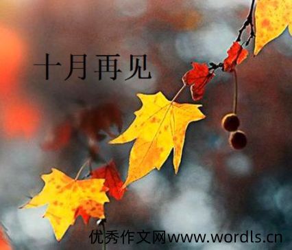 十月最后一天的伤感说说 十月再见十一月你好伤感语录