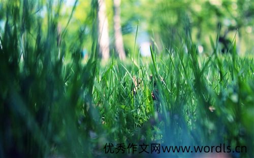 结束一段旅程的心情说说