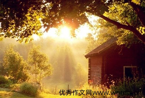 收割稻谷发朋友圈说说