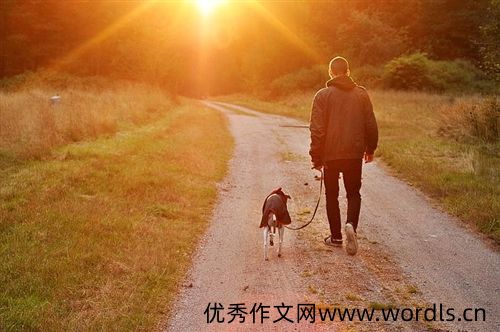 适合发狗的朋友圈的句子