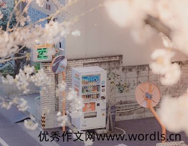 关于成长温暖治愈的文案 最新成长走心的语录