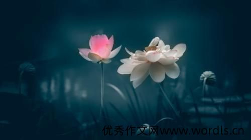 关于励志的说说大全 简短说说励志的话