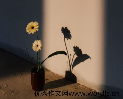 感觉心累心态要崩溃了的说说 心态快崩溃了的难过说说
