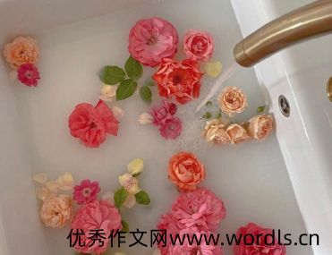 将就过日子的伤感说说 日子凑合着过的句子