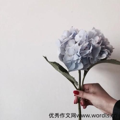 对感情失望的说说 特别伤心特别失望的说说