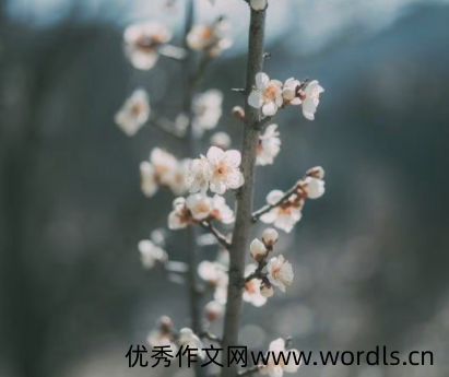 离开了自己生活很久城市的说说 离开自己很熟悉的环境伤感语录