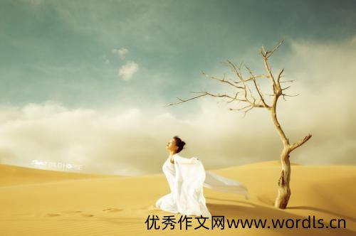 第一次做蛋挞发朋友圈的说说