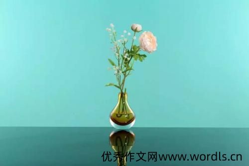 感动的句子说说心情 被感动了怎么发朋友圈