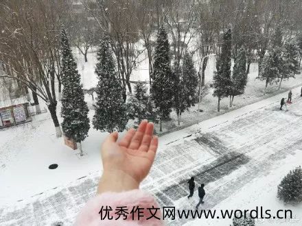 发朋友圈下雪高端句子 下雪了晒朋友圈怎么说