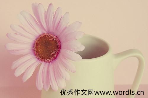 适合发樱花的朋友圈句子 适合发樱花朋友圈的短句