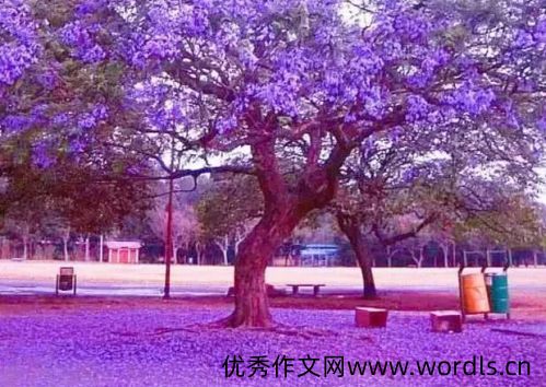 心情说说很现实的说说 很现实的人生感悟心情说说