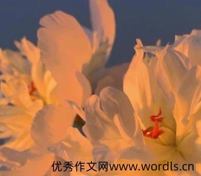 早出晚归的生活说说 为生活早出晚归的句子
