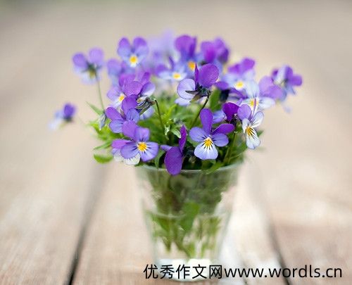 愿时光能缓父母不老的说说