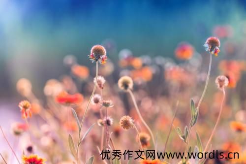 写给自己的励志句子 说给自己励志的话
