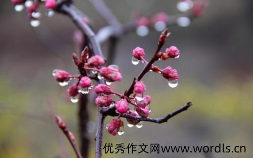 春天下雨的心情说说 春天下雨的心情说说朋友圈