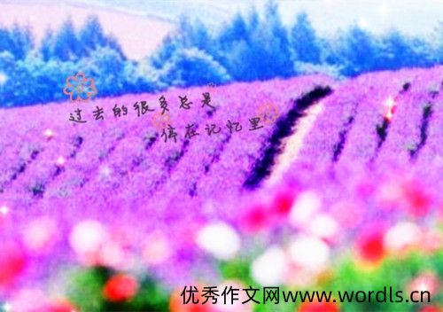 生活就是柴米油盐的说说
