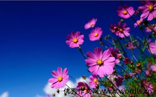 感恩朋友的句子发朋友圈 发朋友圈感恩朋友帮忙的话