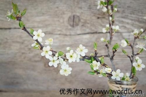年最后一天收官朋友圈文案说说2021年收官感言(精选80条)