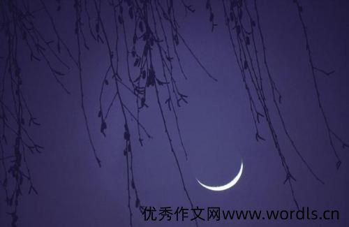 现实伤感扎心语录短句 失落伤感说说心情短语