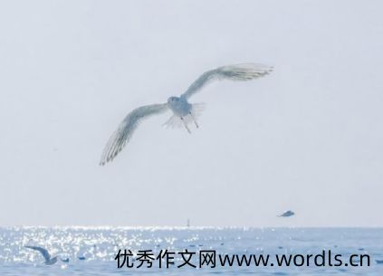 2021再见2022你好唯美说说 关于2022的感慨句子