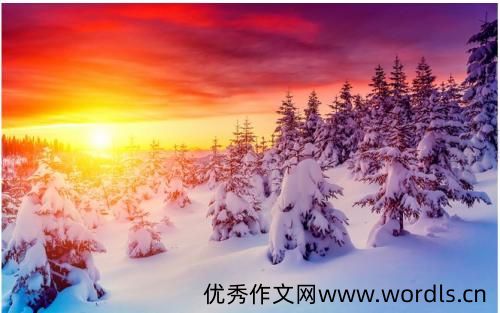 有关冬天的说说情绪