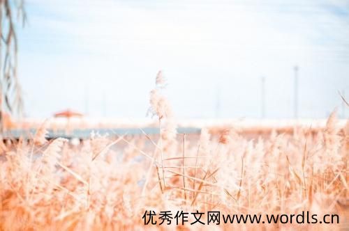 早安问候语幽默说说 2021早安问候语幽默大全