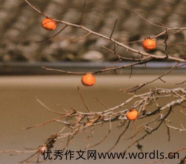 婚姻选错人后悔的句子 两口子越来越陌生的说说