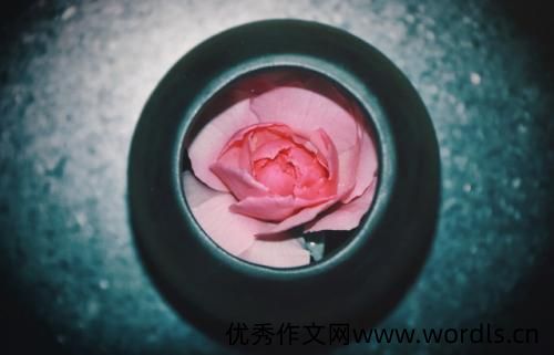 元宵节吃汤圆的微信说说
