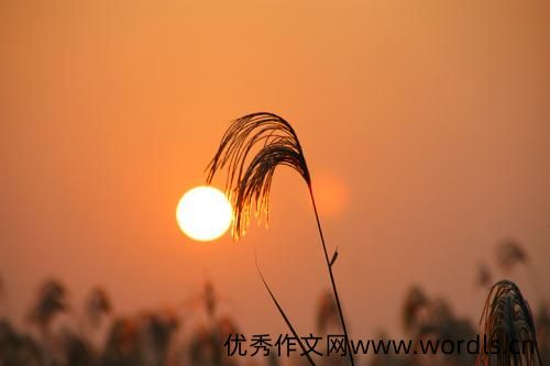 一天结束了的简短句子 一天结束了的简短说说