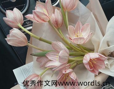 突然收到好消息的说说 收到喜讯开心的句子