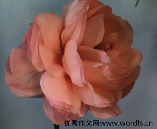 女人压力大的心情说说 压力大心情烦闷的句子