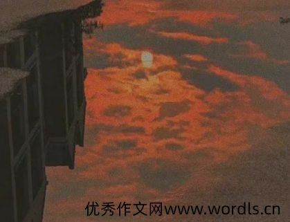 感觉自己很麻木的说说 对任何事情没有感觉的句子