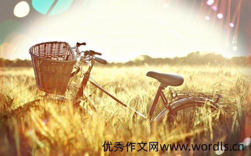 有些人注定是你生命中的过客说说