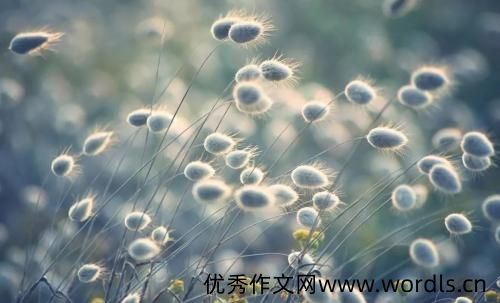 眼泪的句子说说心情 眼泪掉下来的说说心情